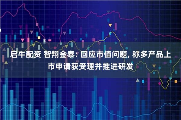 启牛配资 智翔金泰: 回应市值问题, 称多产品上市申请获受理并推进研发