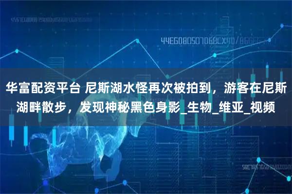 华富配资平台 尼斯湖水怪再次被拍到，游客在尼斯湖畔散步，发现神秘黑色身影_生物_维亚_视频